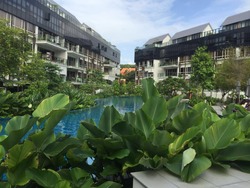 Flamingo Valley (D15), Condominium #197936082
